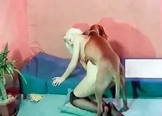 Stockings-clad towheaded fucks a mutt